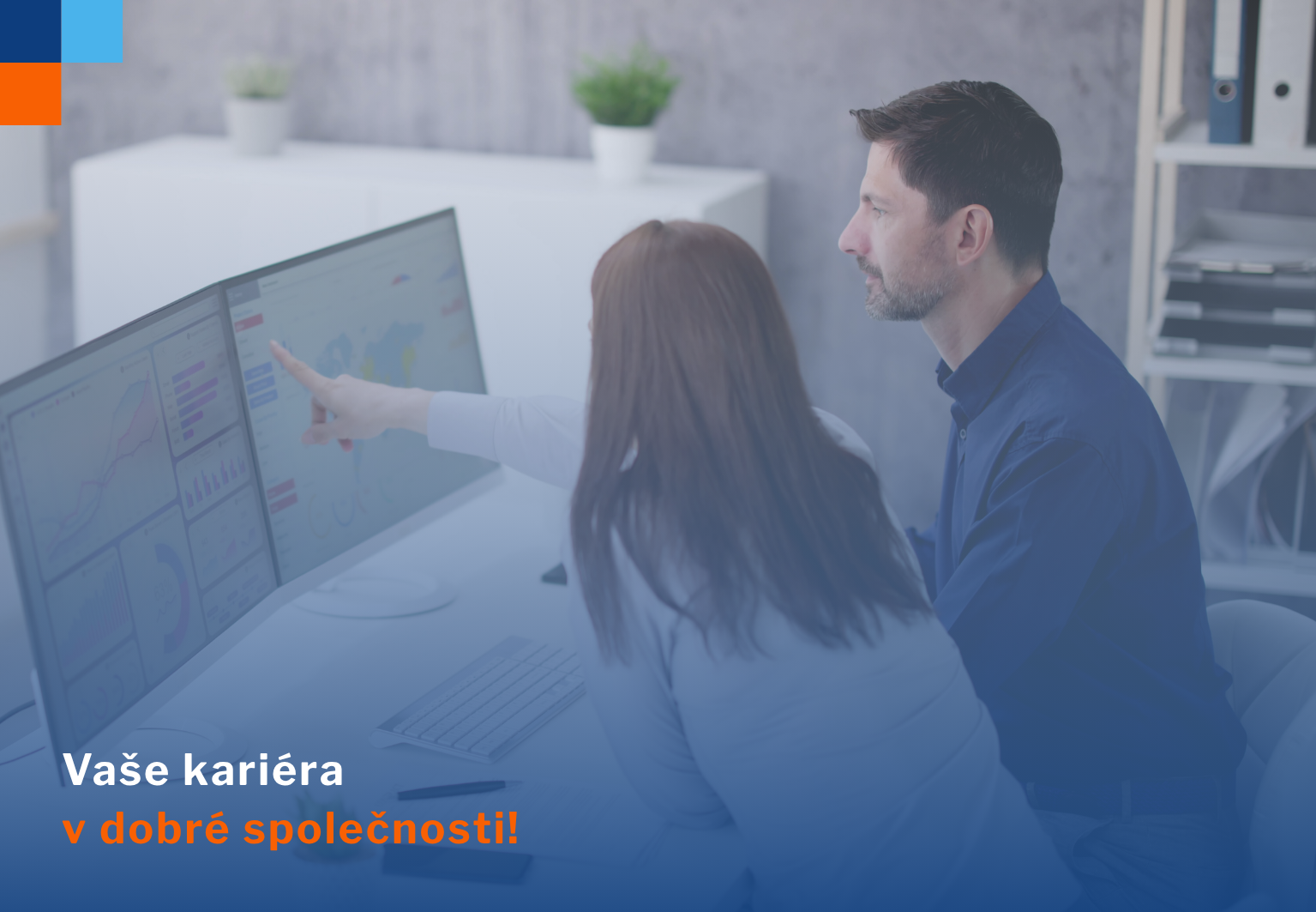 Analytik plánování a controllingu