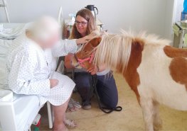 V Chrudimské nemocnici pomáhají s „léčbou“ koně i psi