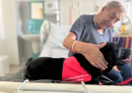 Psí canisterapeutická parťačka Toffee posílí péči na neurologii Orlickoústecké nemocnice