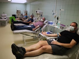 Májové darování krve