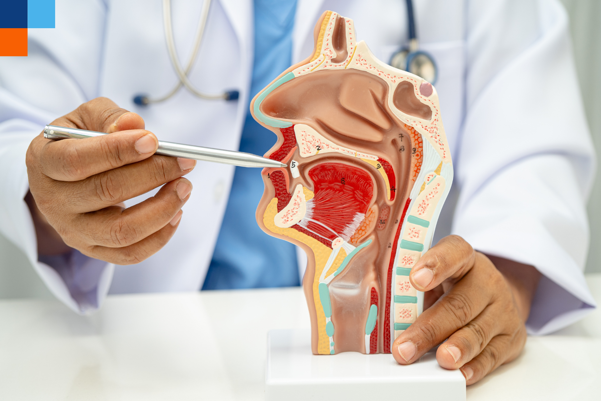 Světový den hlasu připomíná význam jeho ochrany