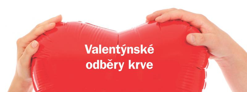 Oslavit valentýnský svátek zamilovaných při odběru krve přišlo 57 nových dárců